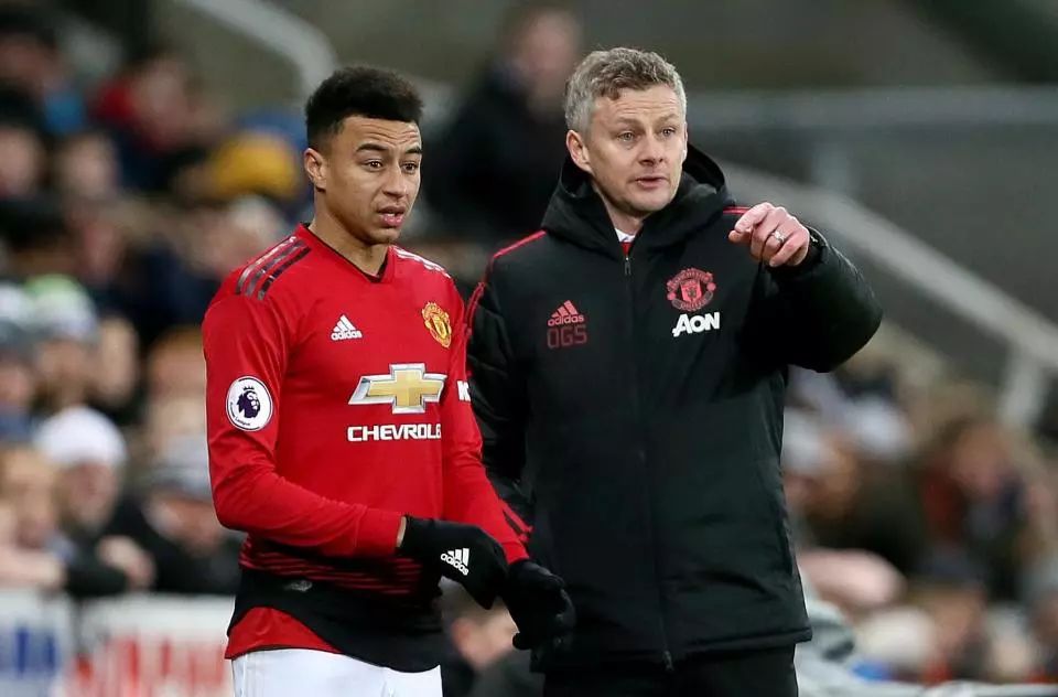 索官方视频 索官方视频